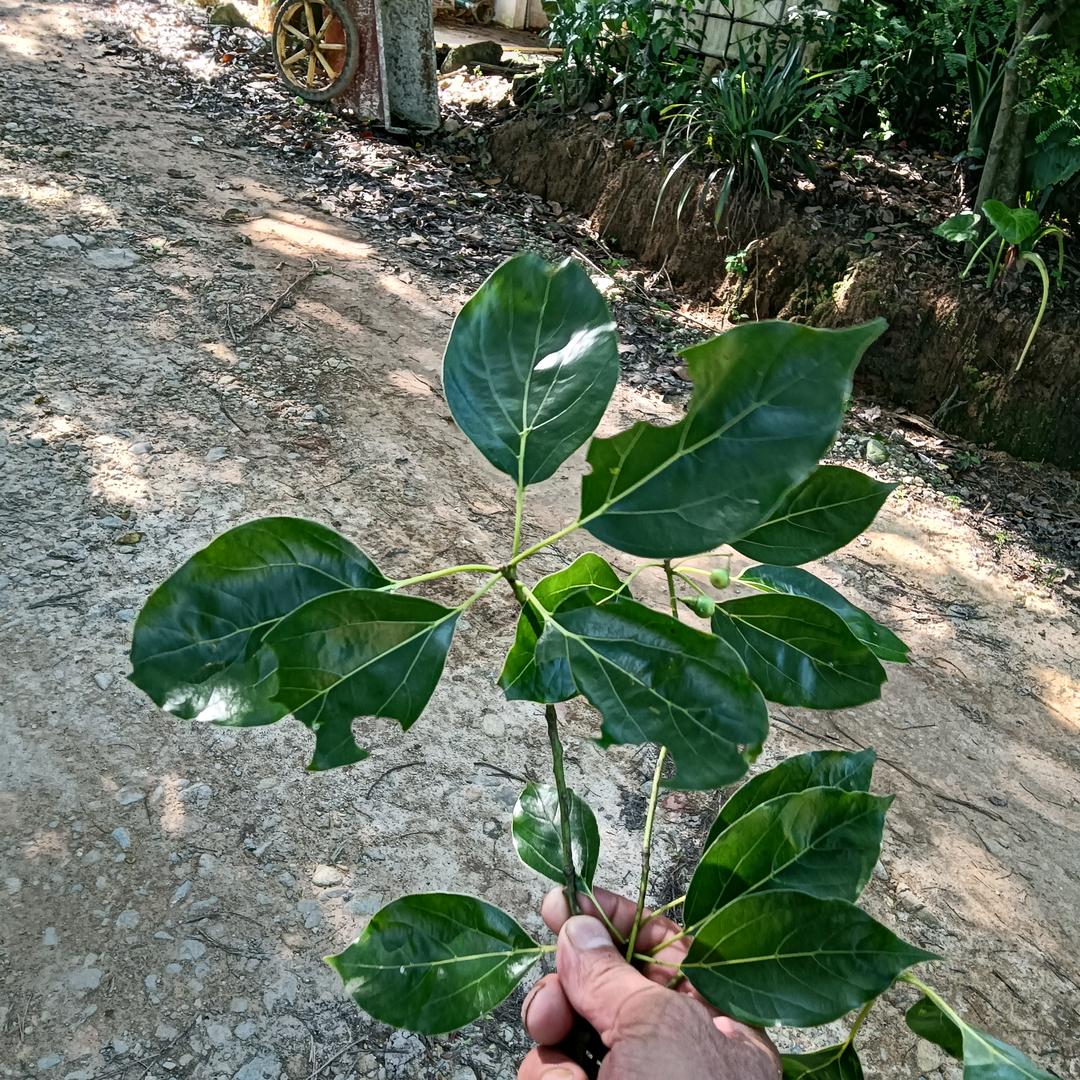 按倒就搞定