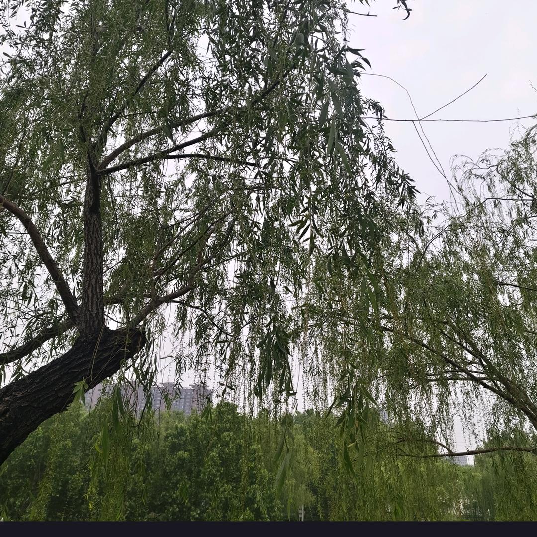 秋水无痕！！！！！