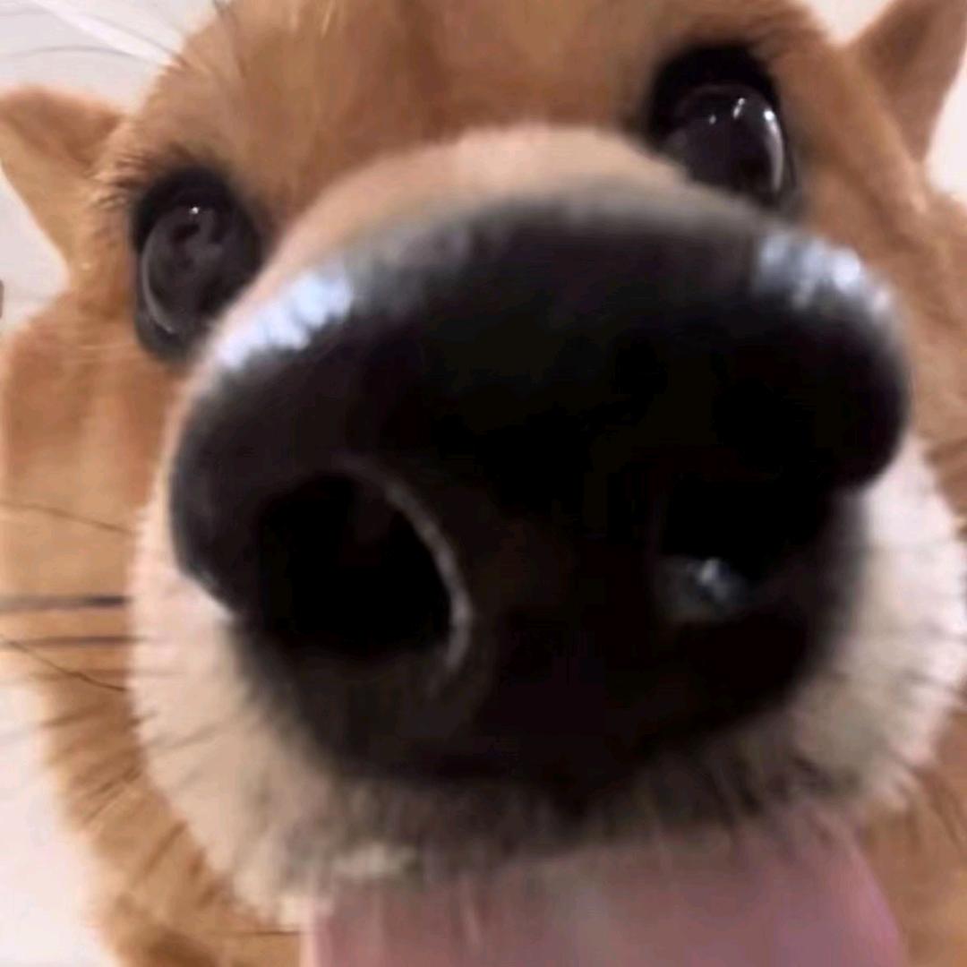 茗