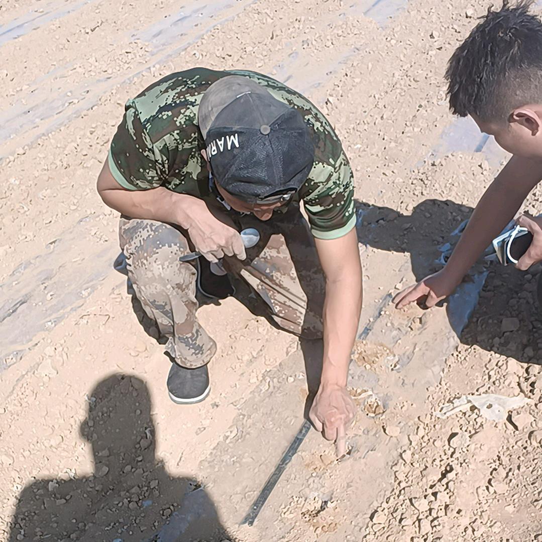 农机（小夫妻）加油