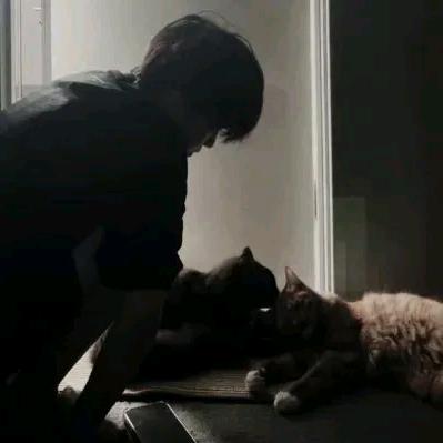 🌈小志⁵²⁴⁹🌪