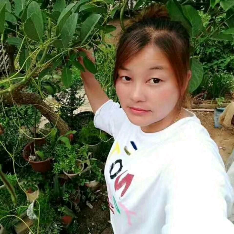 心依燕姿