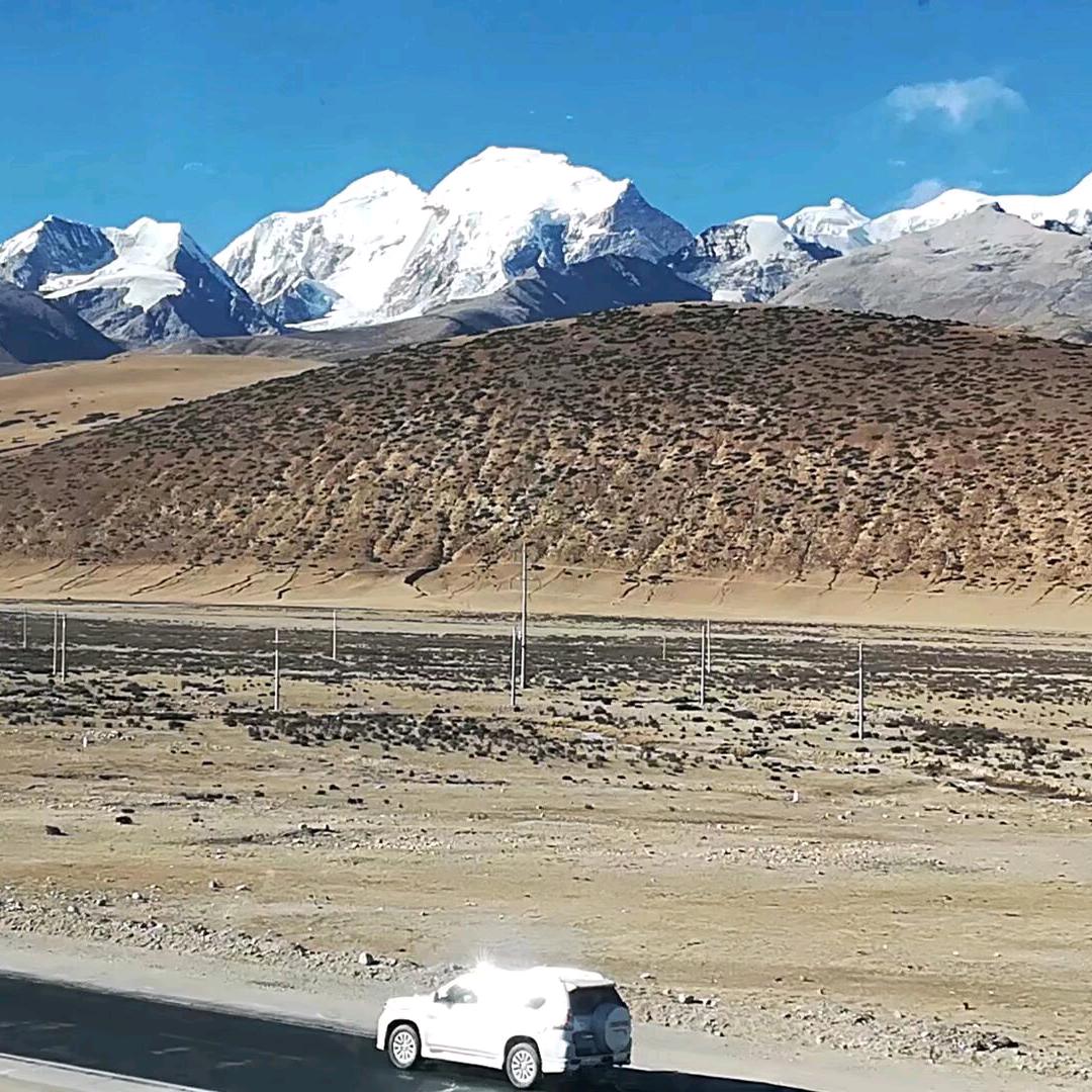 小龙虾行情报价