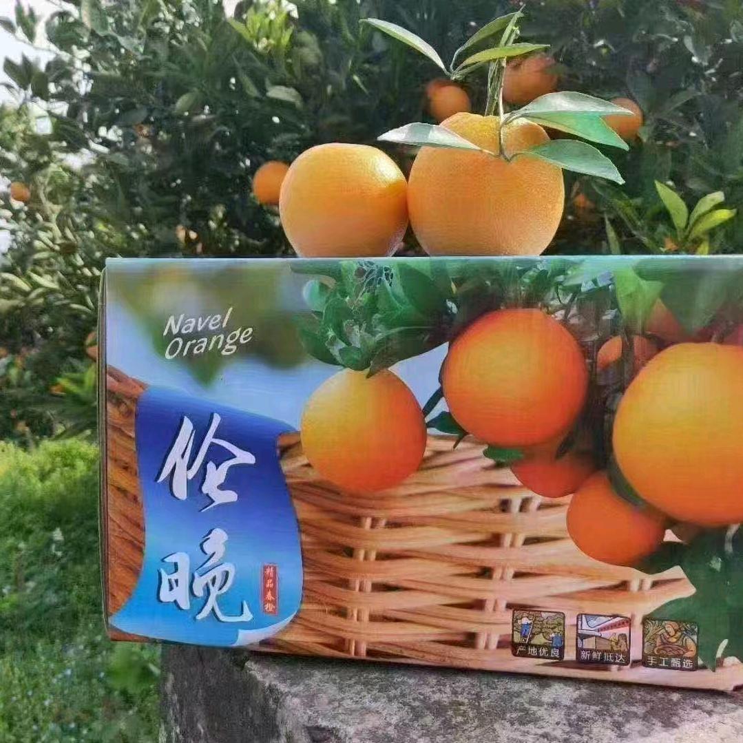 秭归县银兴水果店