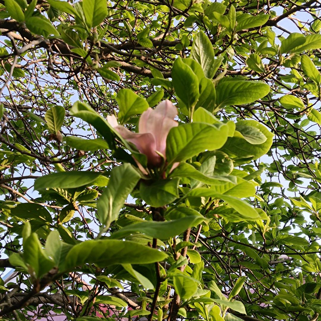 温柔不是姐的“范”