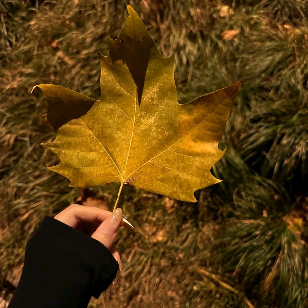 🕊༄℘⃝㞮孞࿐🍒