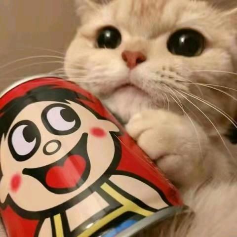 袂使ღ