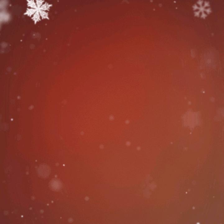 思宝
