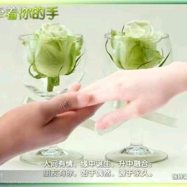 草上飞