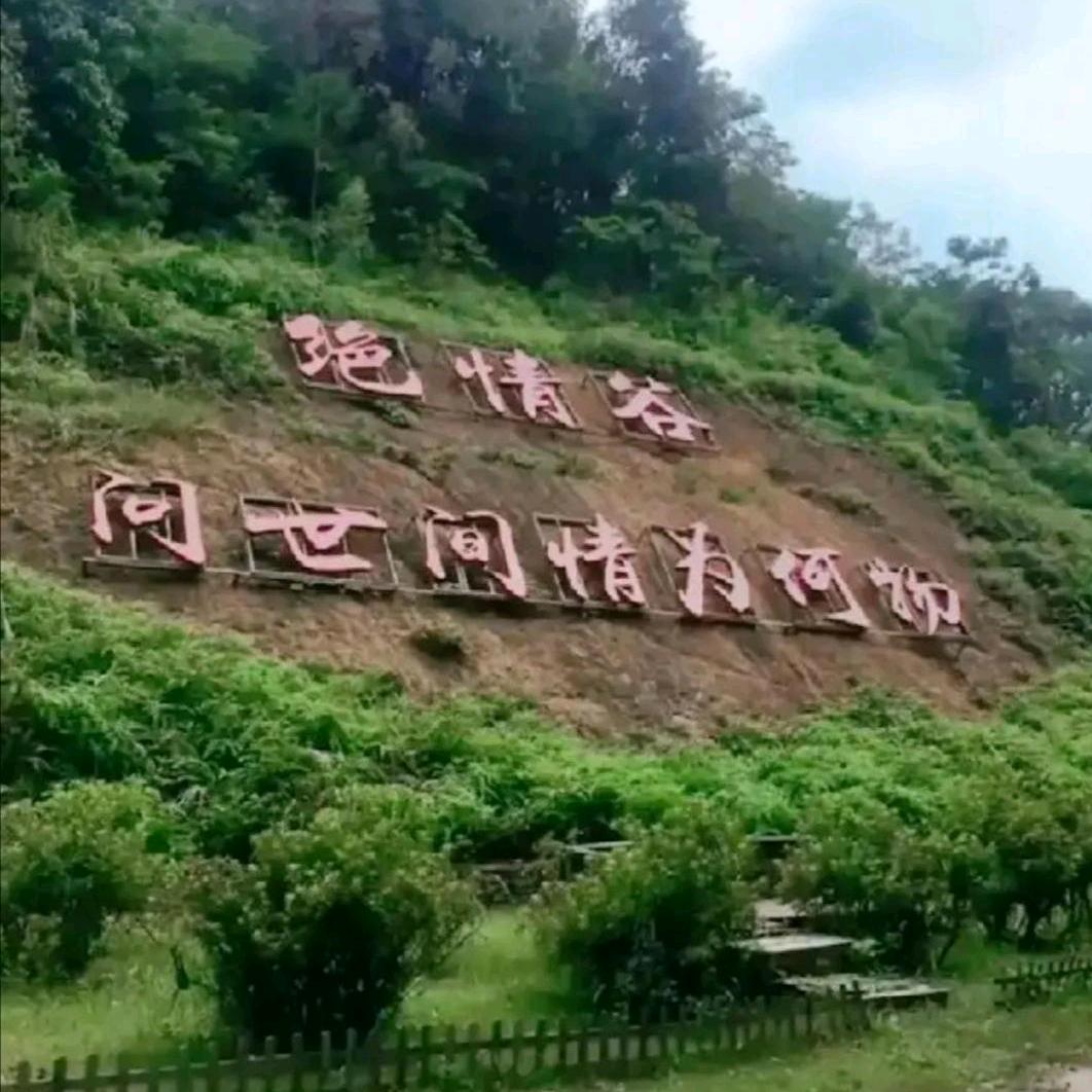 夏之缘！树木成林！能文能武