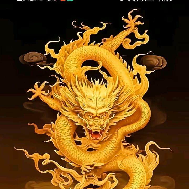 七九不打柴