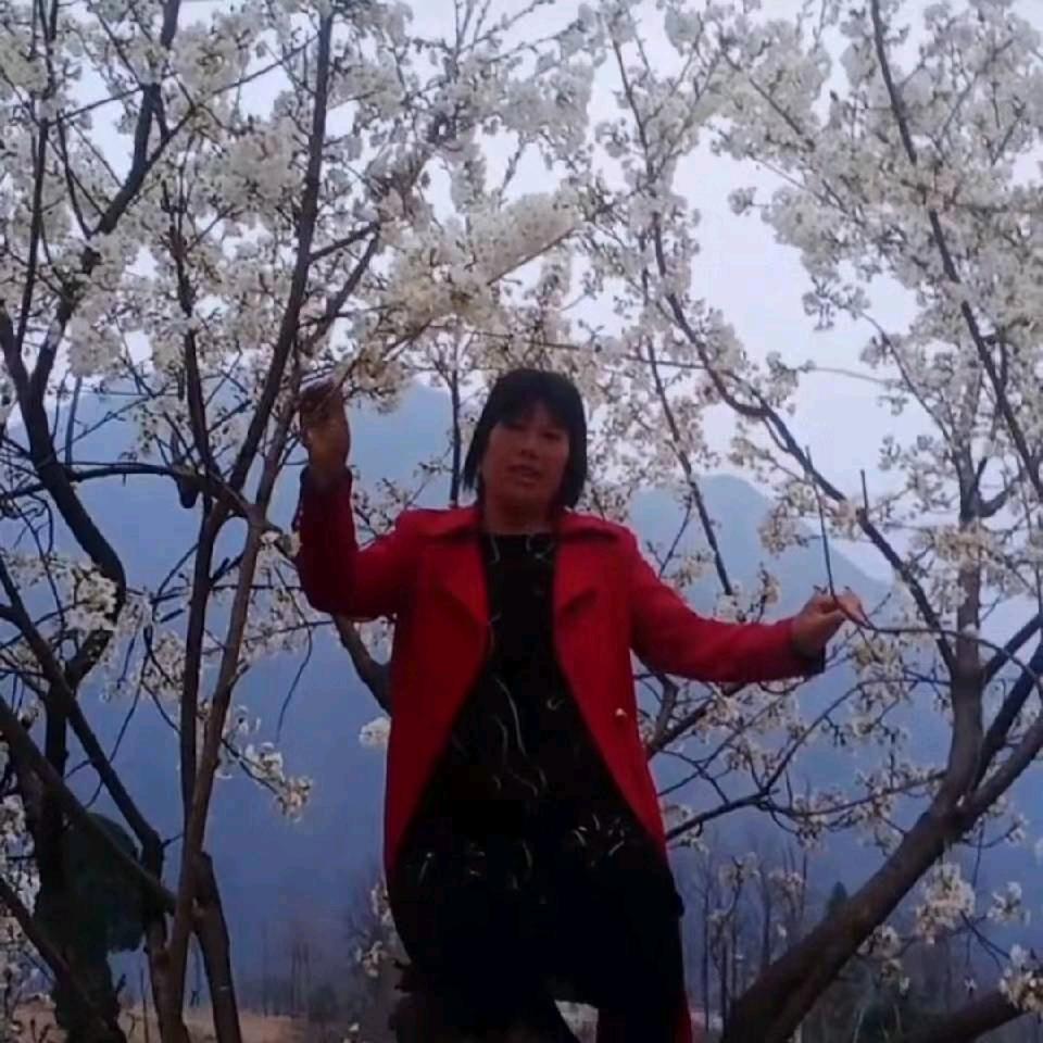 月亮陪伴你