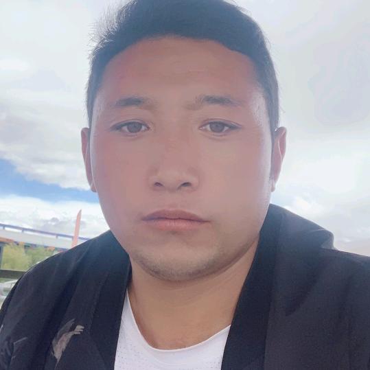 司机尼玛