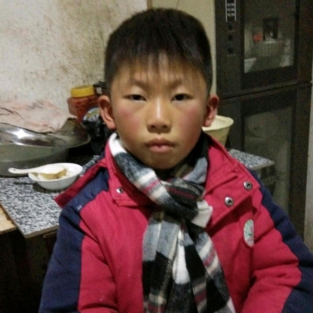 杨老大