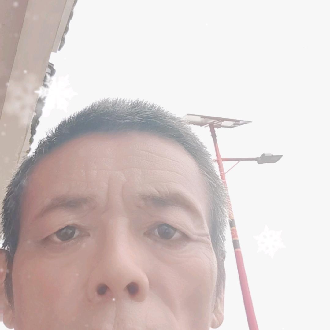 陈，