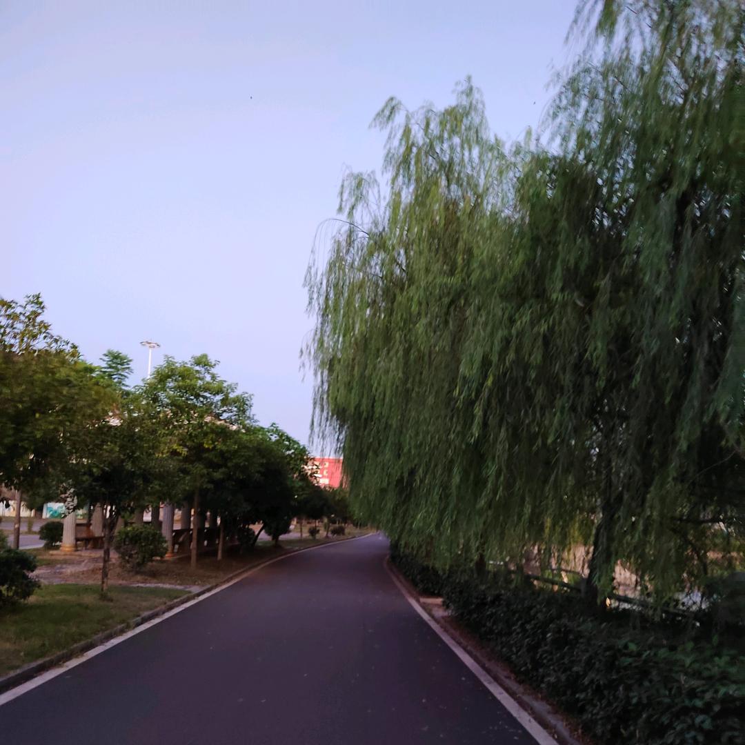 瘦如束
