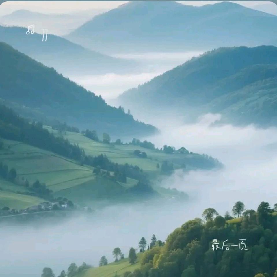 生活是自己的🌻