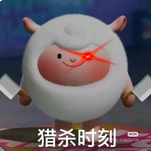 阳阳
