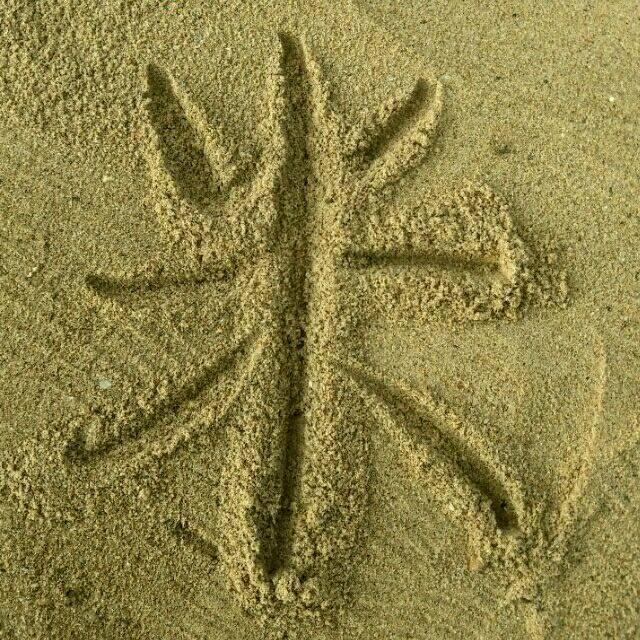 热漫更新