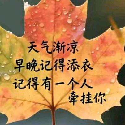 身体健康第一（狼）