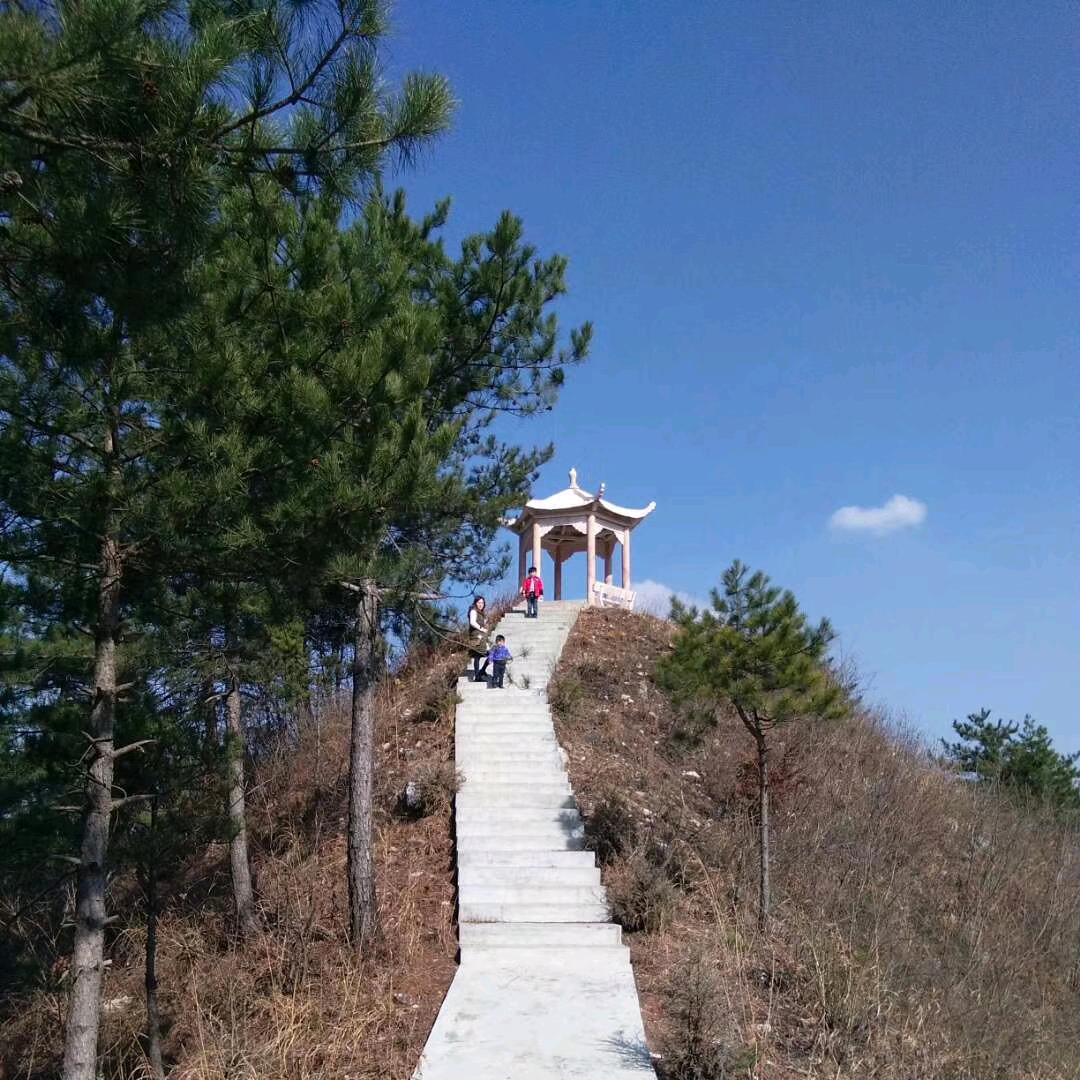 ༆ 淡定㏄O_o~♀