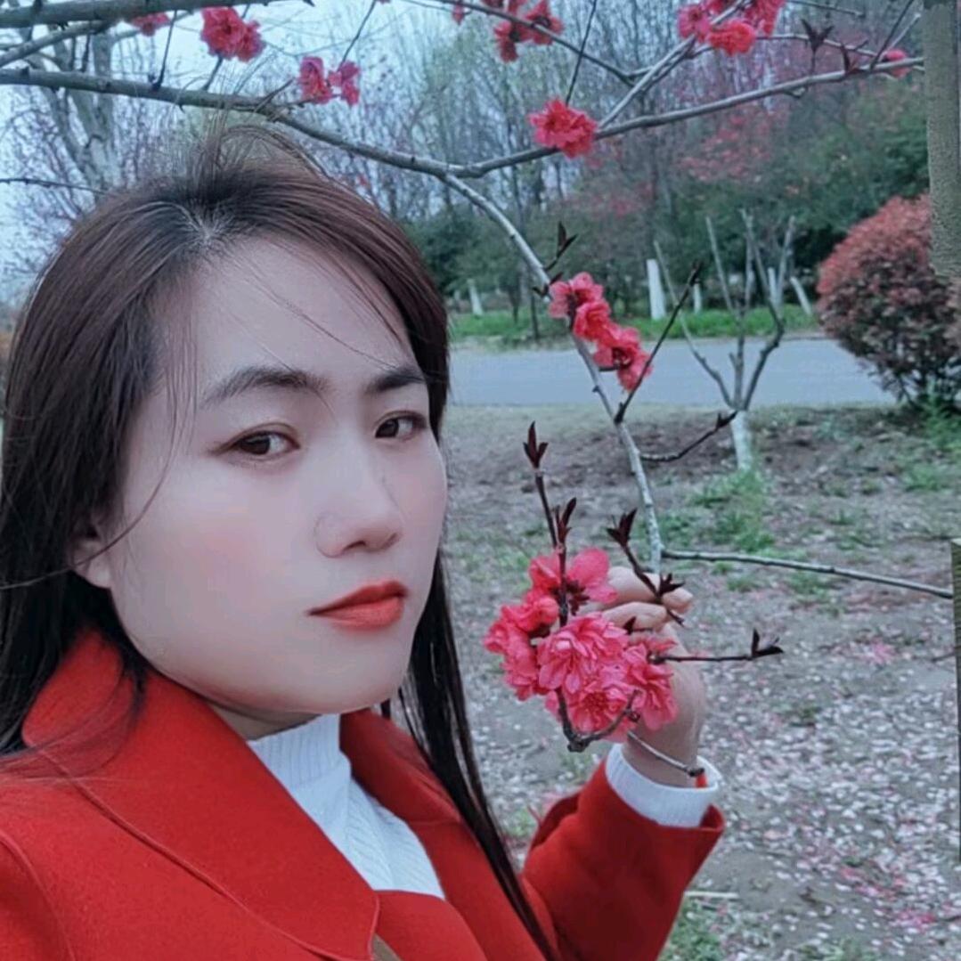 傻妮子
