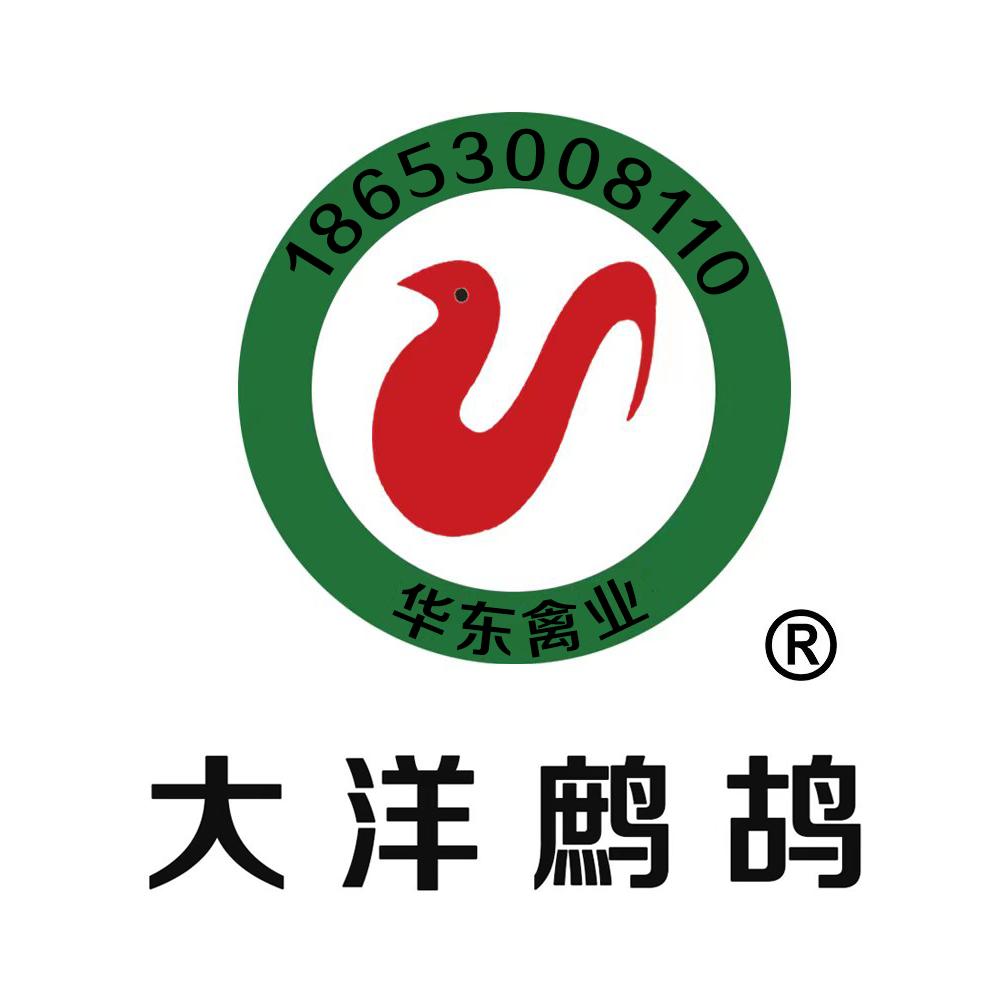 丁哥鹧鸪养殖
