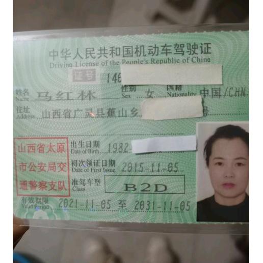 单身的小马驹。