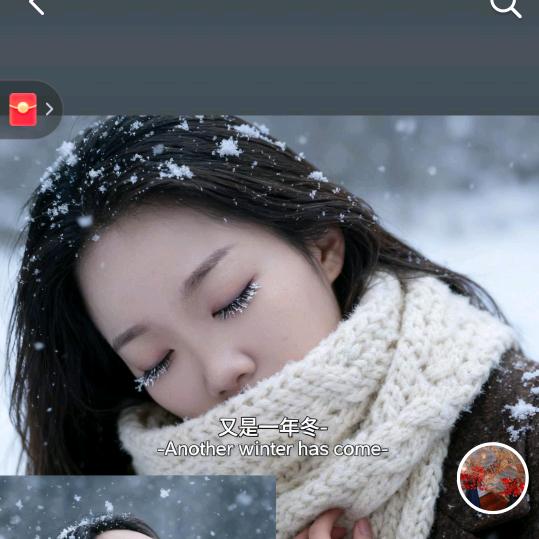 你看我像谁