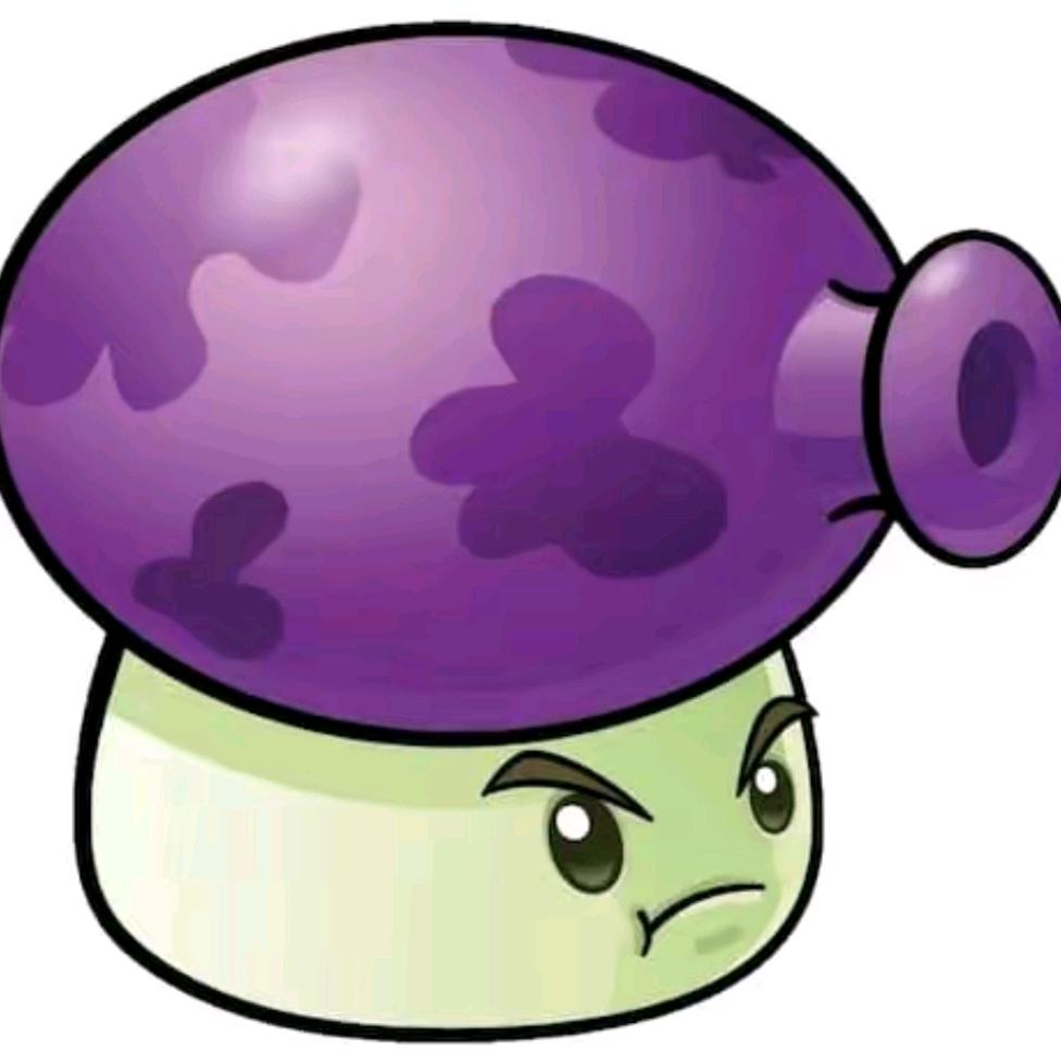 🟣🟣🟣🟣🟣🟣