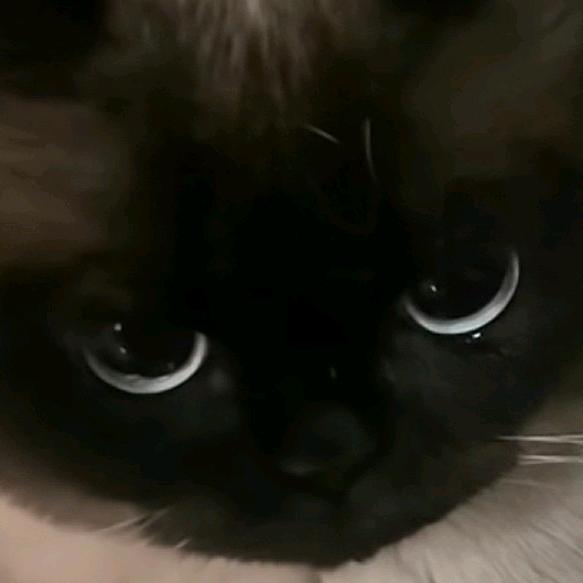 云逸☆