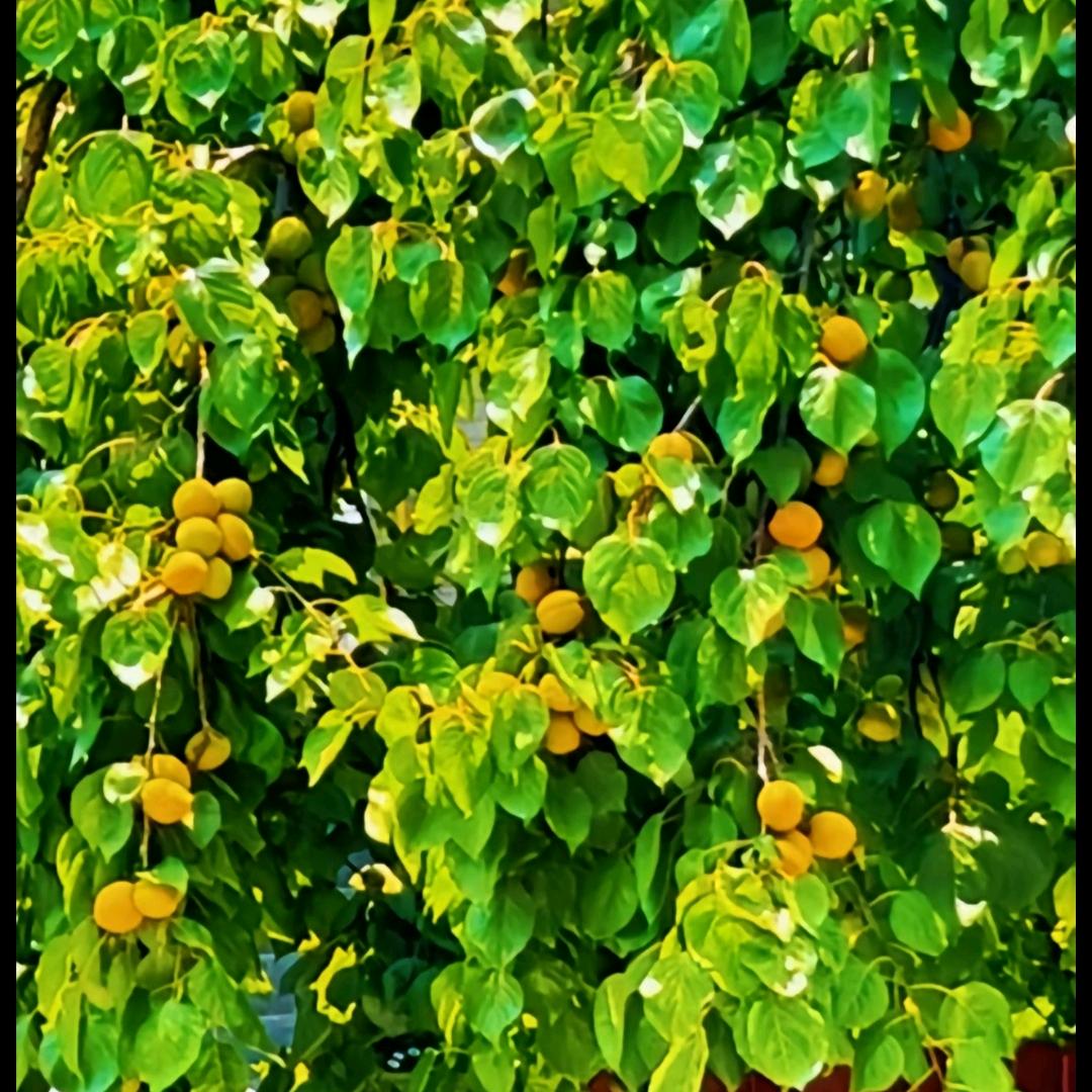 এ᭄💞ぶঞ財ঞ迷💞এ᭄