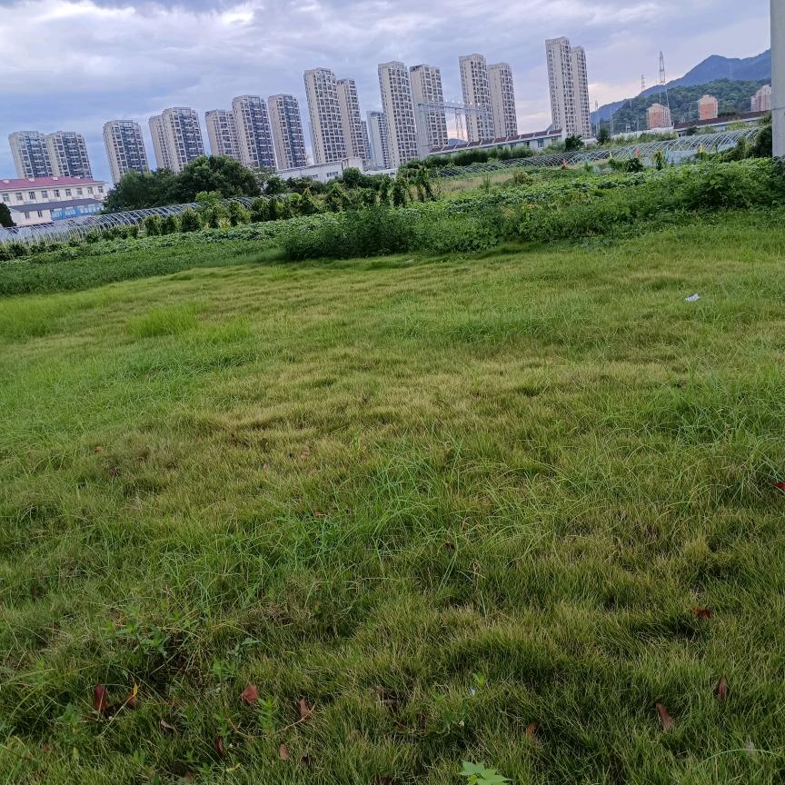 开关L7  NXB开关走起