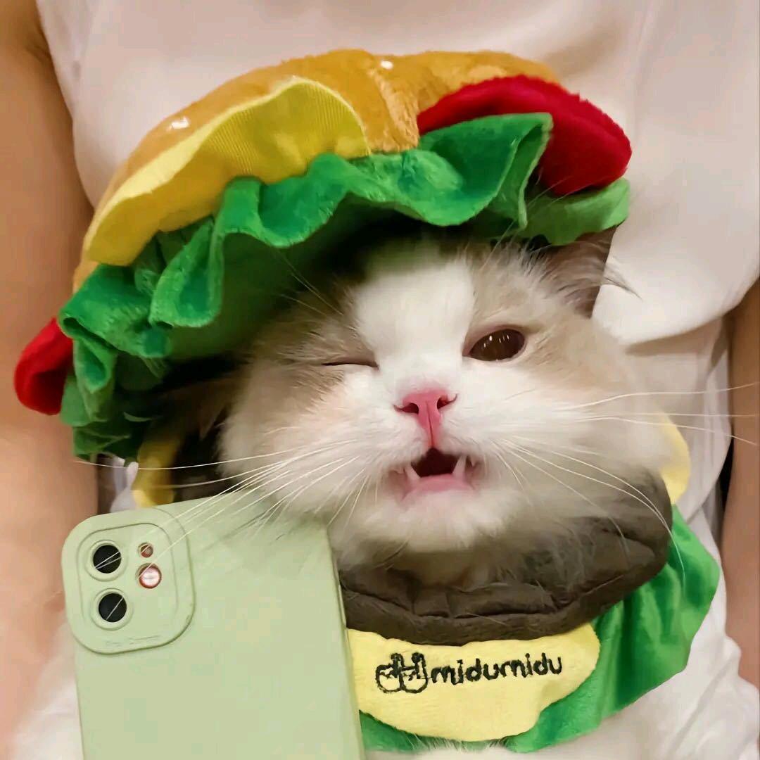 远在咫尺
