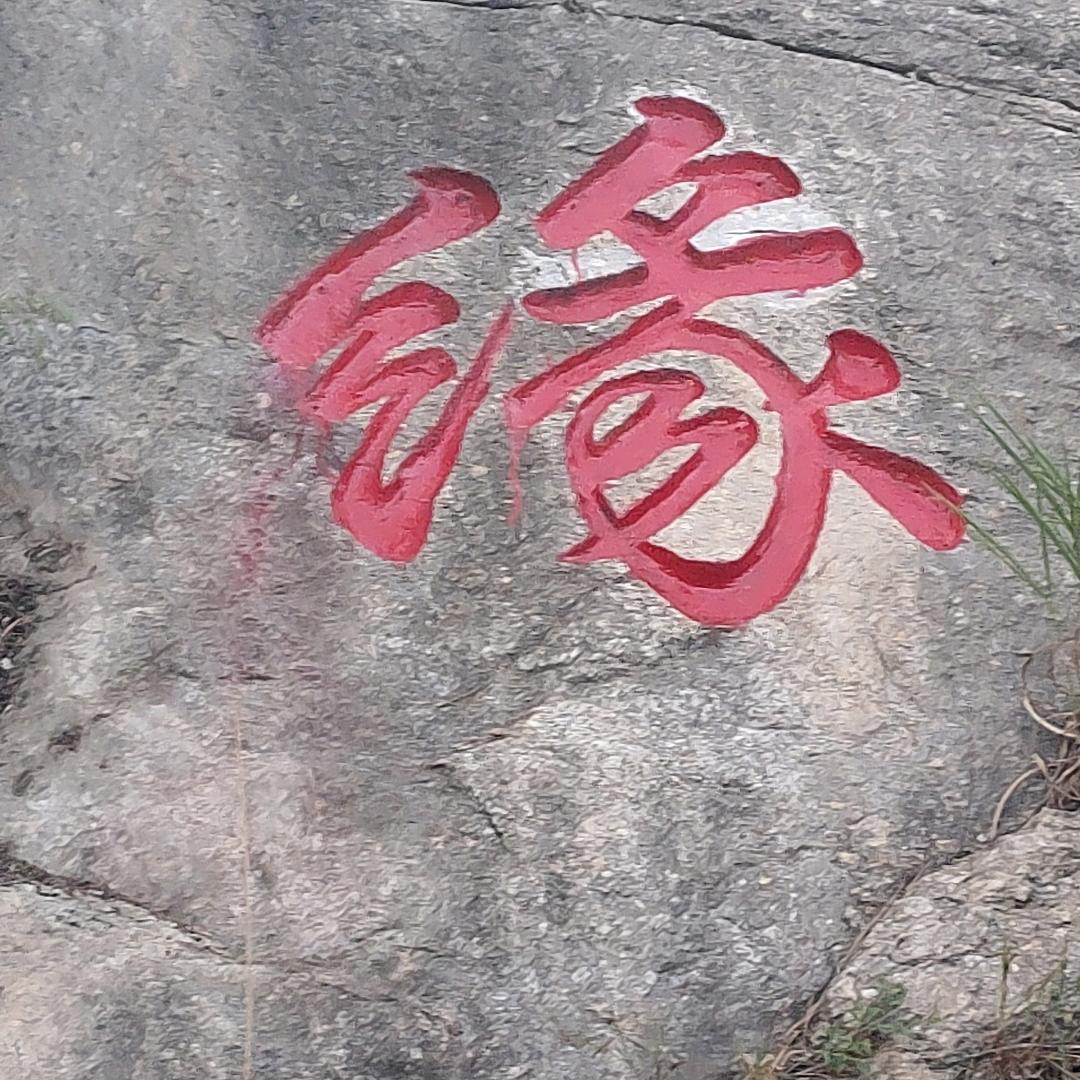 啊强哥新疆马兰大漠雄鹰