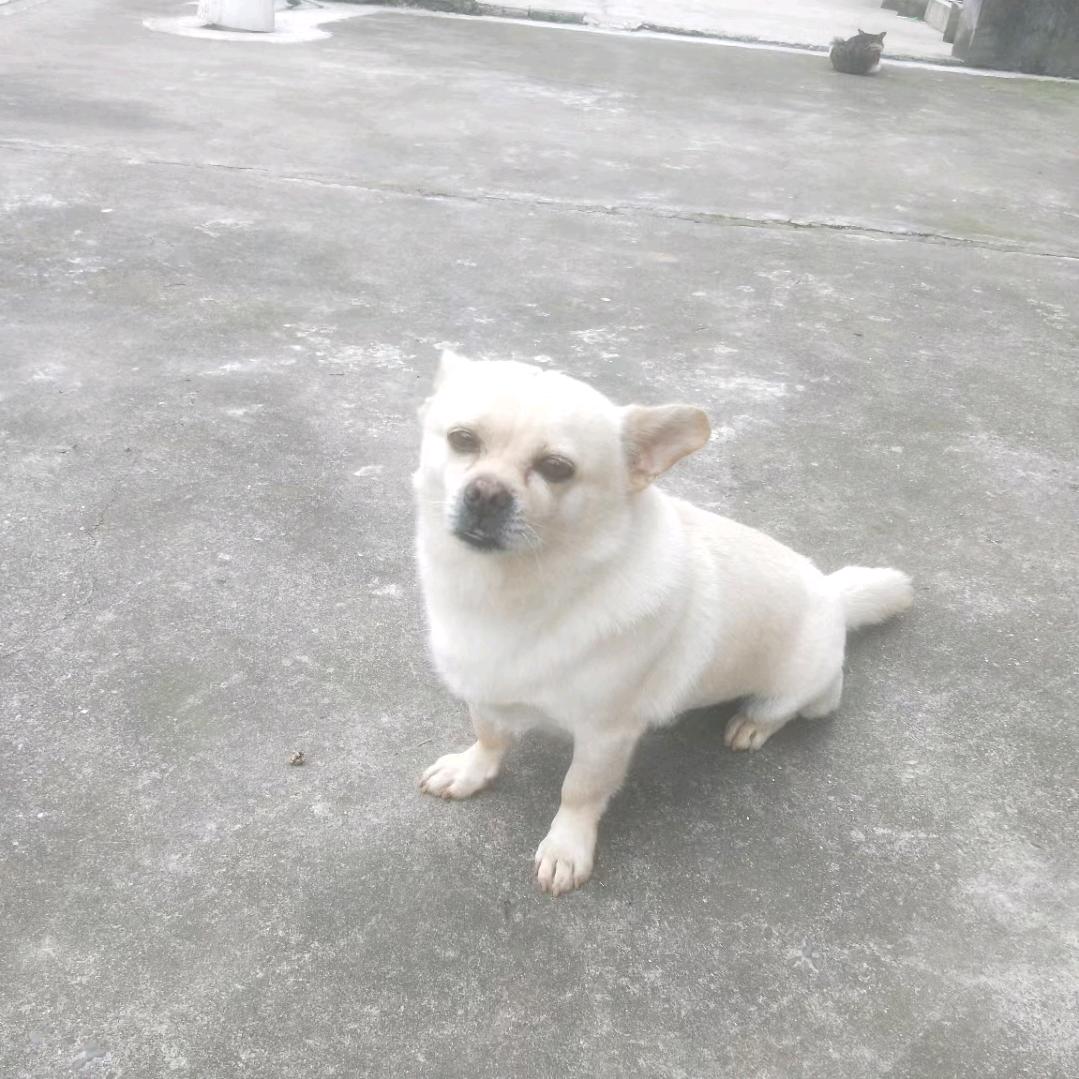 AAA羲正