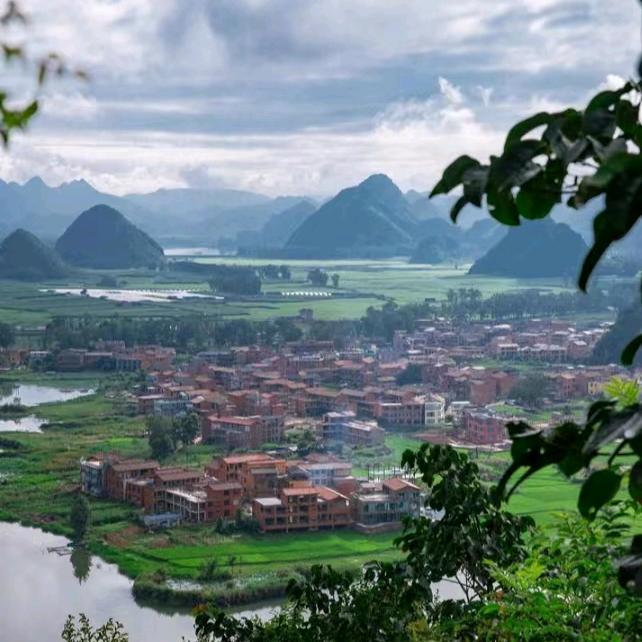 英姐小号