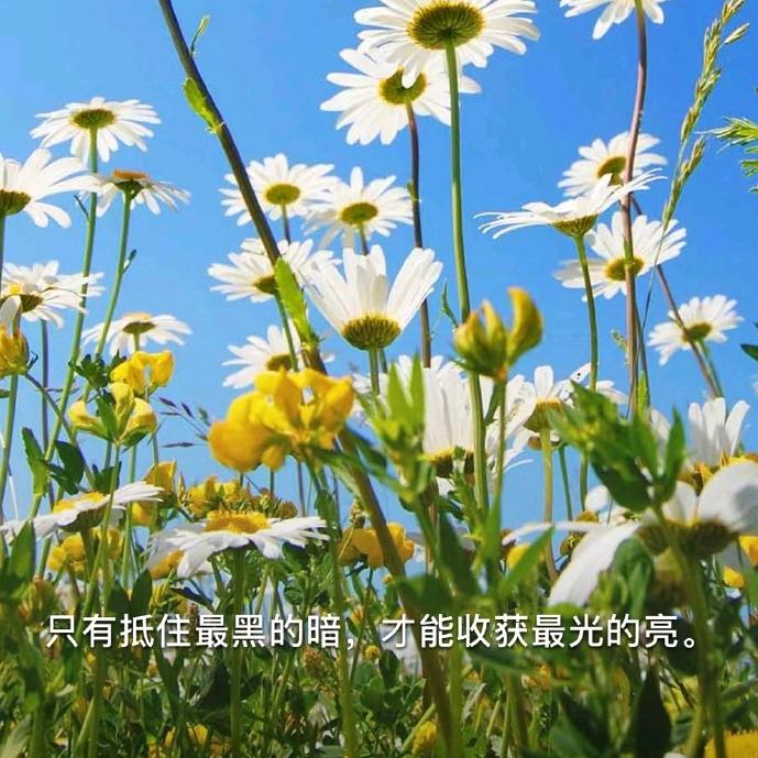 水~晶~之~梦