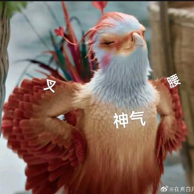 小颖宝