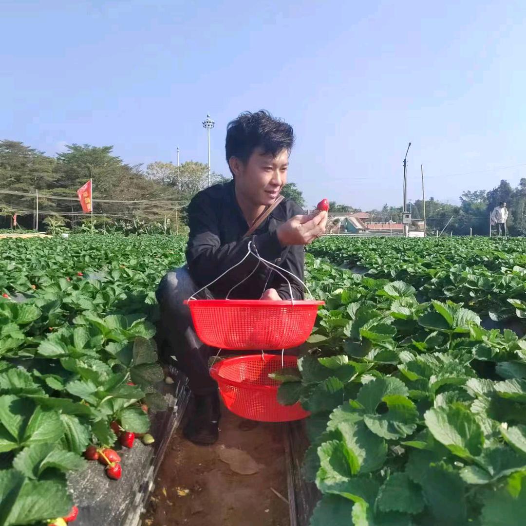 流氓成哥