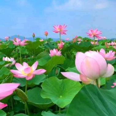 🌴永久🌻幸福🌴