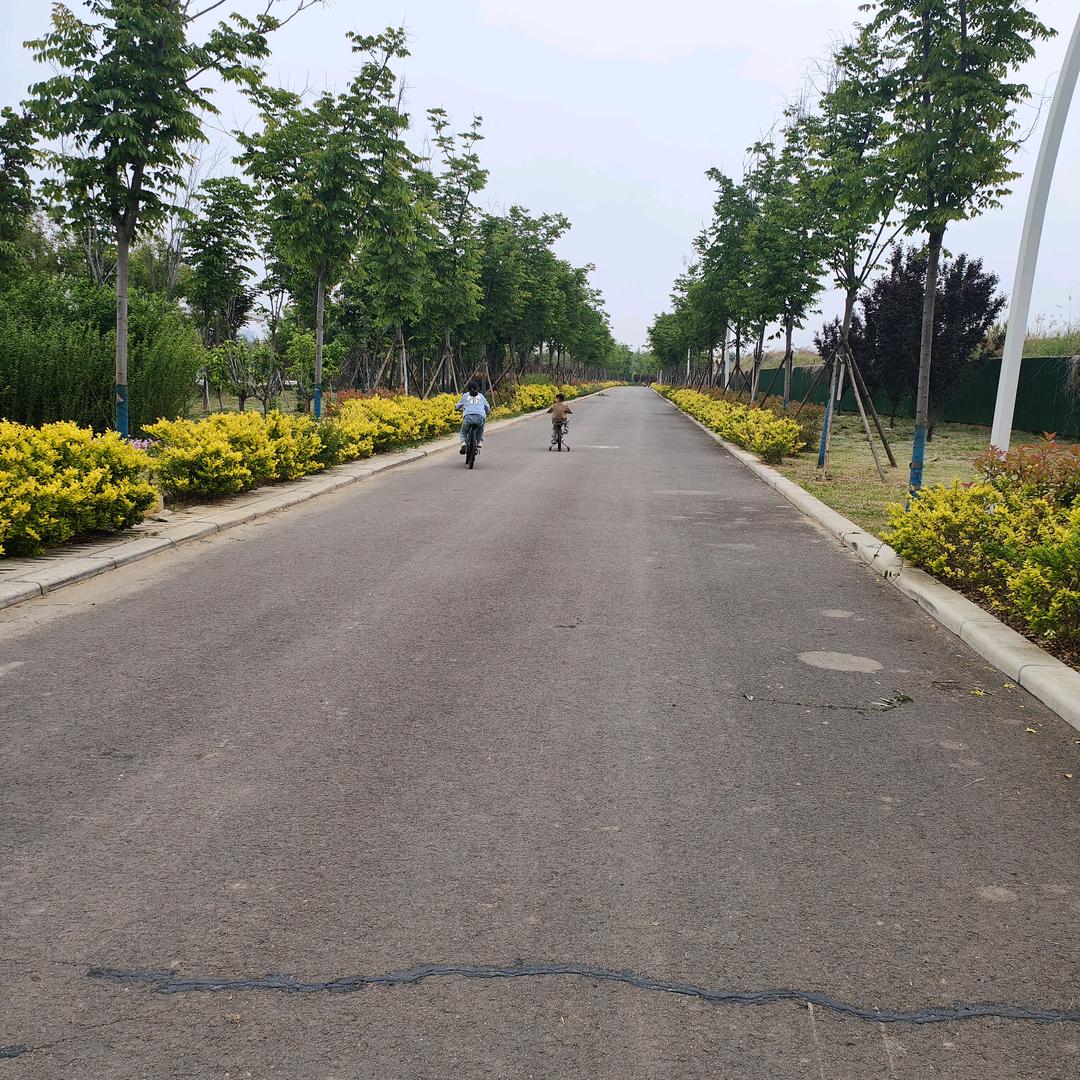 梦想天空　　　　༽ 　　　　╲