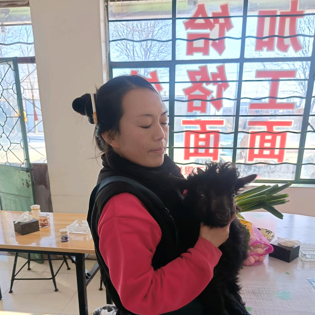 南佐李家羊肉