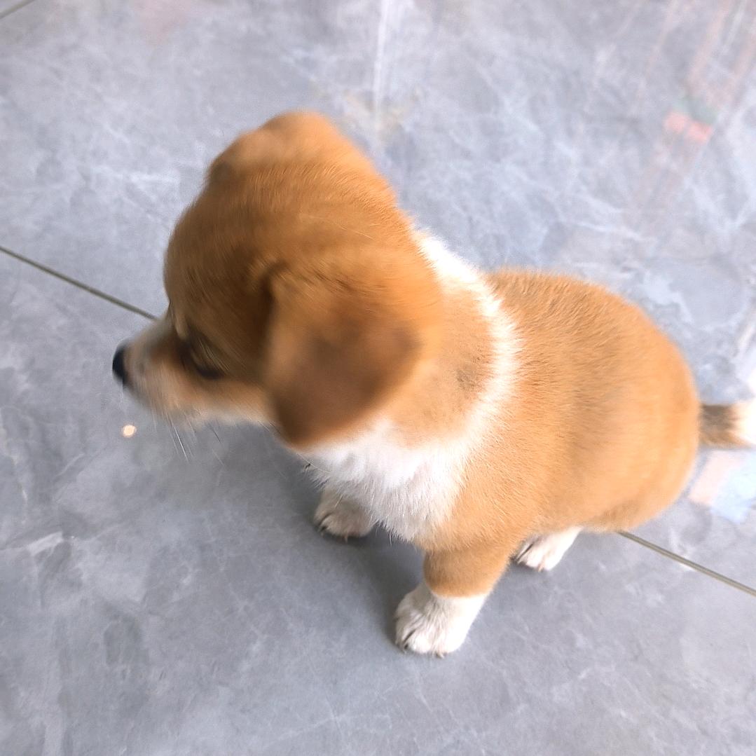 高兴奥特曼