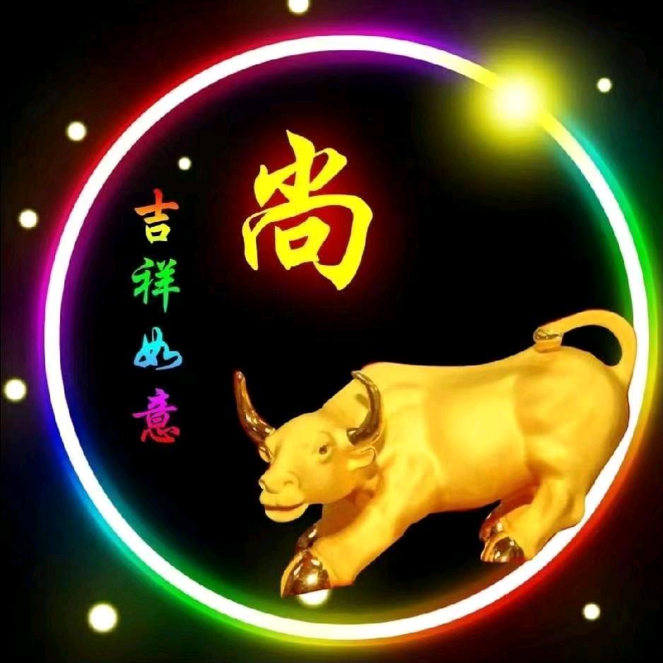 尚公(糊涂电工)