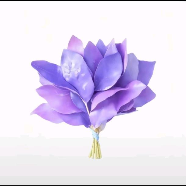 根本没把我放在盐里