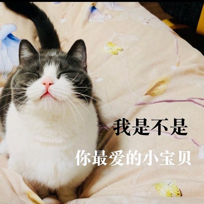 坚果
