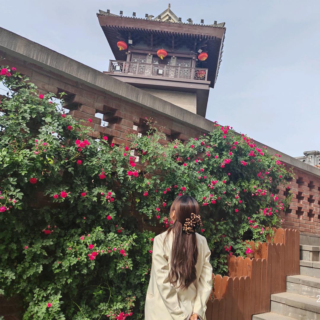 芋倪儿