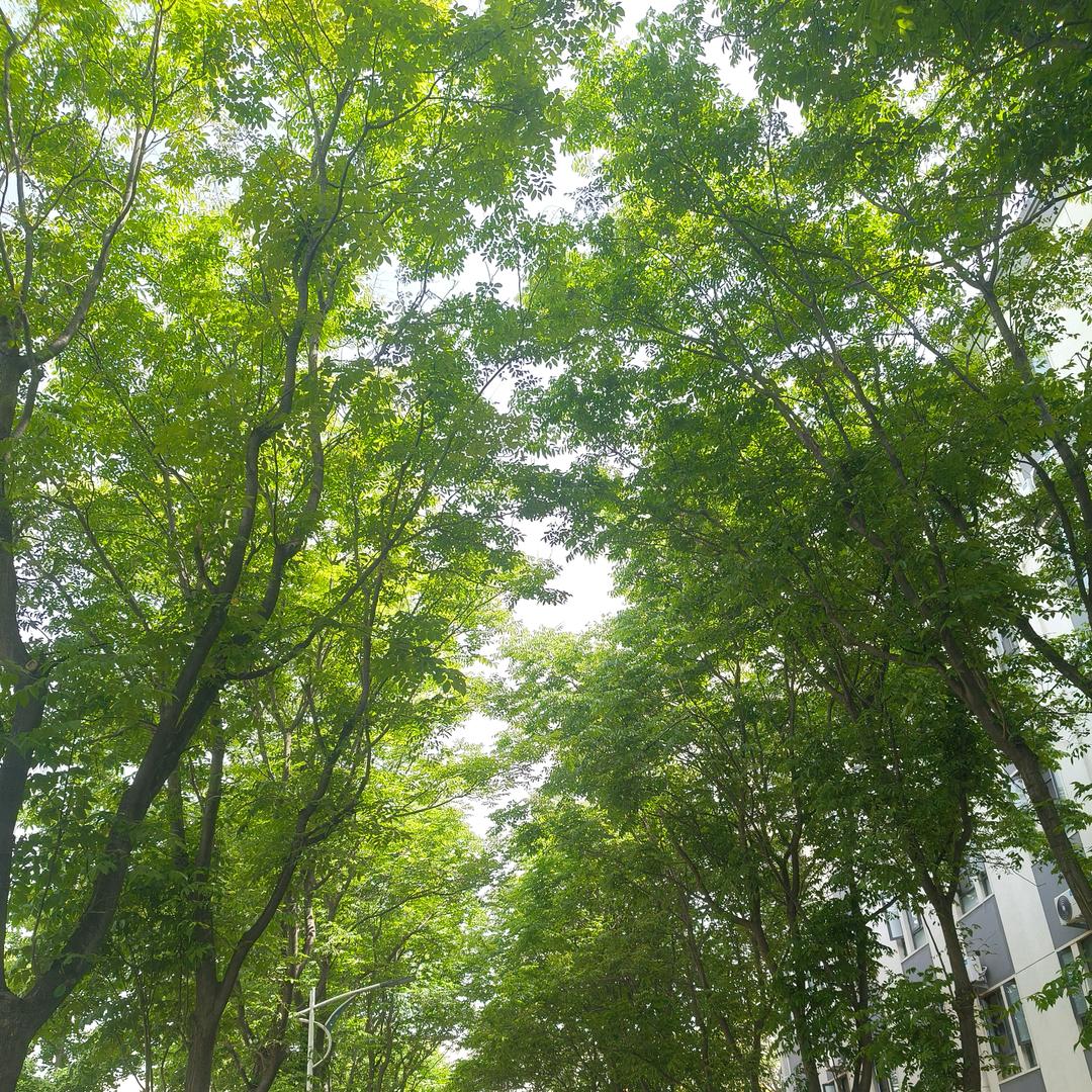 启航