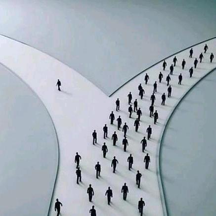 随缘逐路